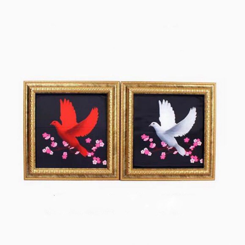 Photography Trick - Deluxe Dove Frame Magic Tricks Dove