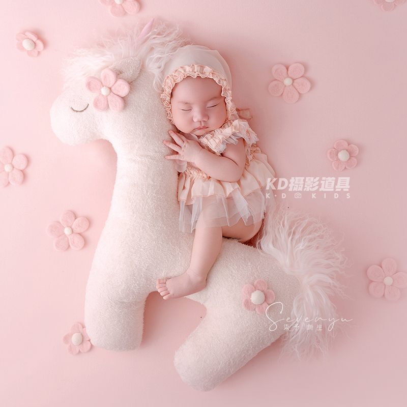 Cute Unicorn Theme Newborn Pho - Photography Outfit 评论和价格