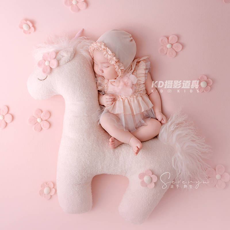 Cute Unicorn Theme Newborn Pho - Photography Outfit 评论和价格