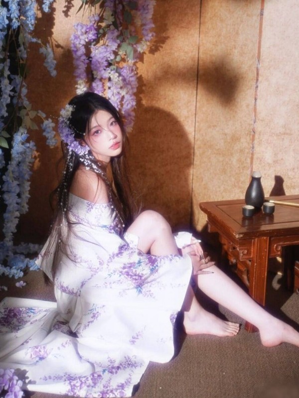 Traditional Japanese Kimono Wo - Photography Outfit 评论和价格